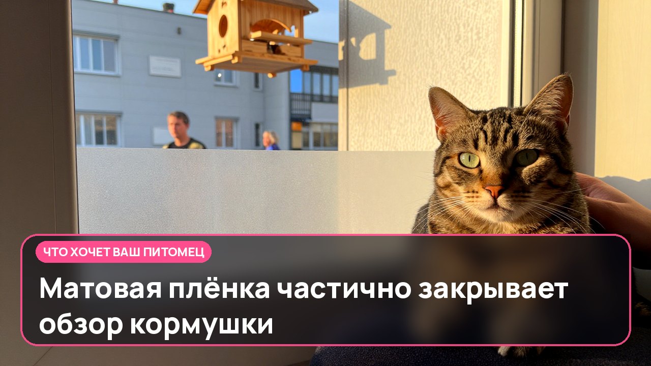 Матовая плёнка частично закрывает обзор кормушки