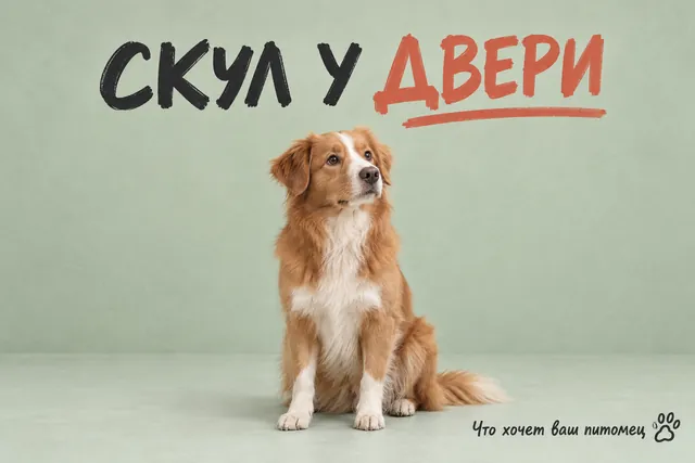 Как отличить обычную просьбу «открой дверь» от сигнала о болезни?